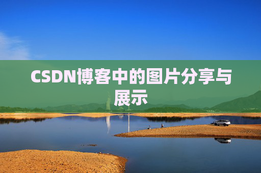 CSDN博客中的图片分享与展示